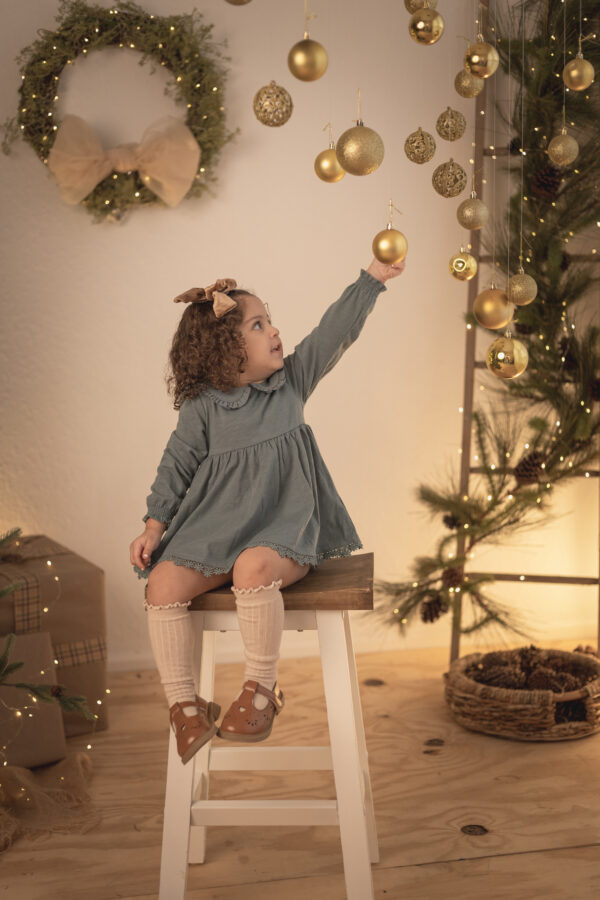 Christmas 2024 (Booking fee) - Image 3